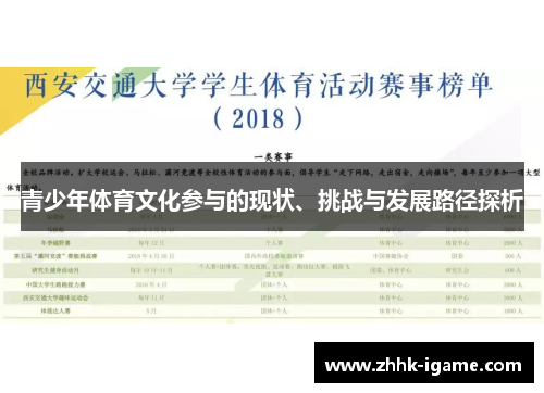 青少年体育文化参与的现状、挑战与发展路径探析