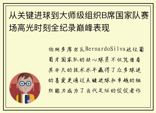 从关键进球到大师级组织B席国家队赛场高光时刻全纪录巅峰表现