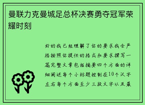 曼联力克曼城足总杯决赛勇夺冠军荣耀时刻